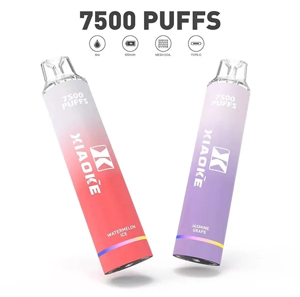 【17種口味選擇】XiaoKe拋棄式電子煙 8ml 梟客一次性 7500口 - 图片 2